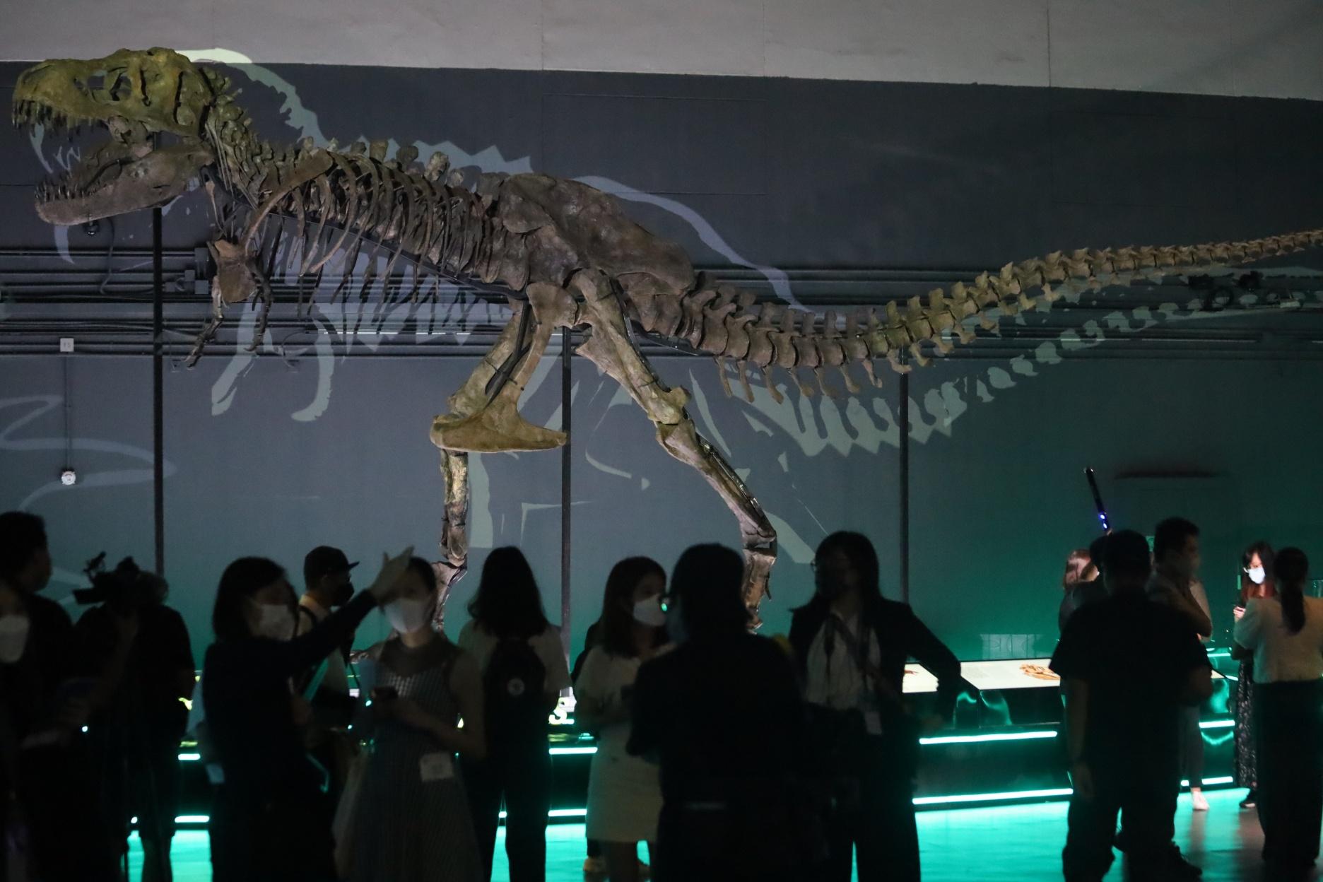 科學館恐龍展免費入場  最完整異特龍不容錯過