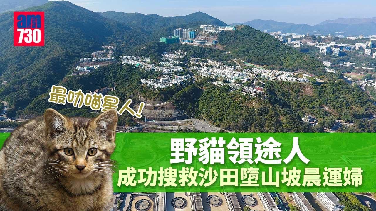 沙田晨運婦失足墮山坡　途人隨野貓引路成功搜救