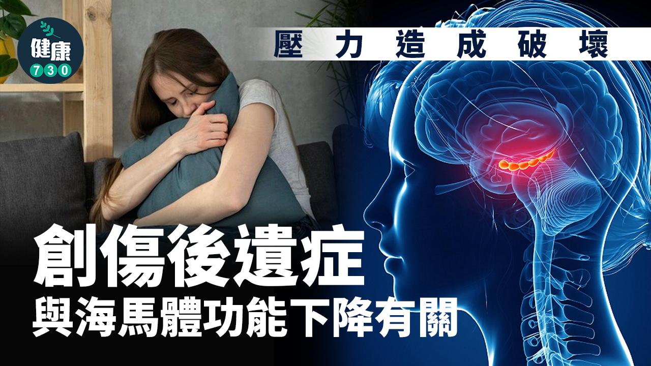 壓力造成破壞 創傷後遺症與海馬體功能下降有關