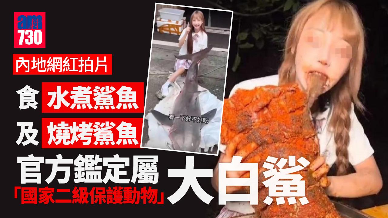 「吃播」網紅燒鯊魚食 官方證為受保護「大白鯊」