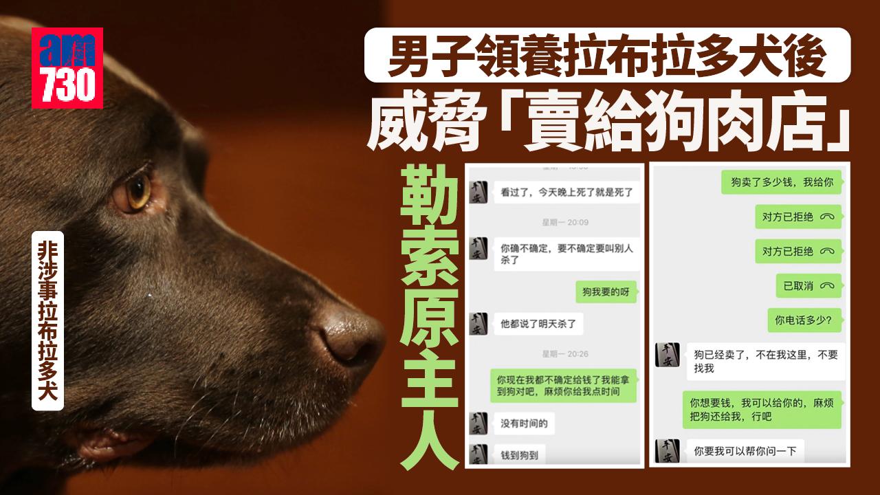 男子領養拉布拉多後威脅「賣給狗肉店」 勒索原主人3000元