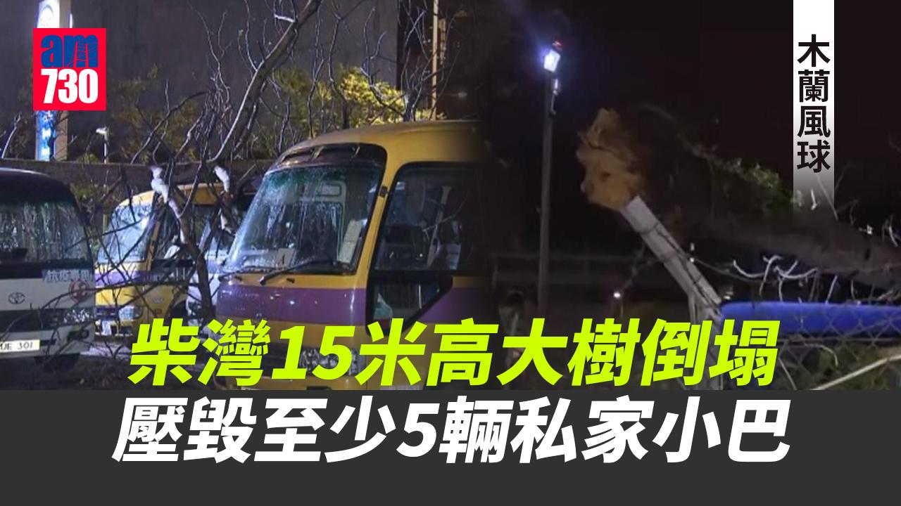 木蘭風球｜柴灣15米高大樹倒塌　壓毀至少5輛私家小巴