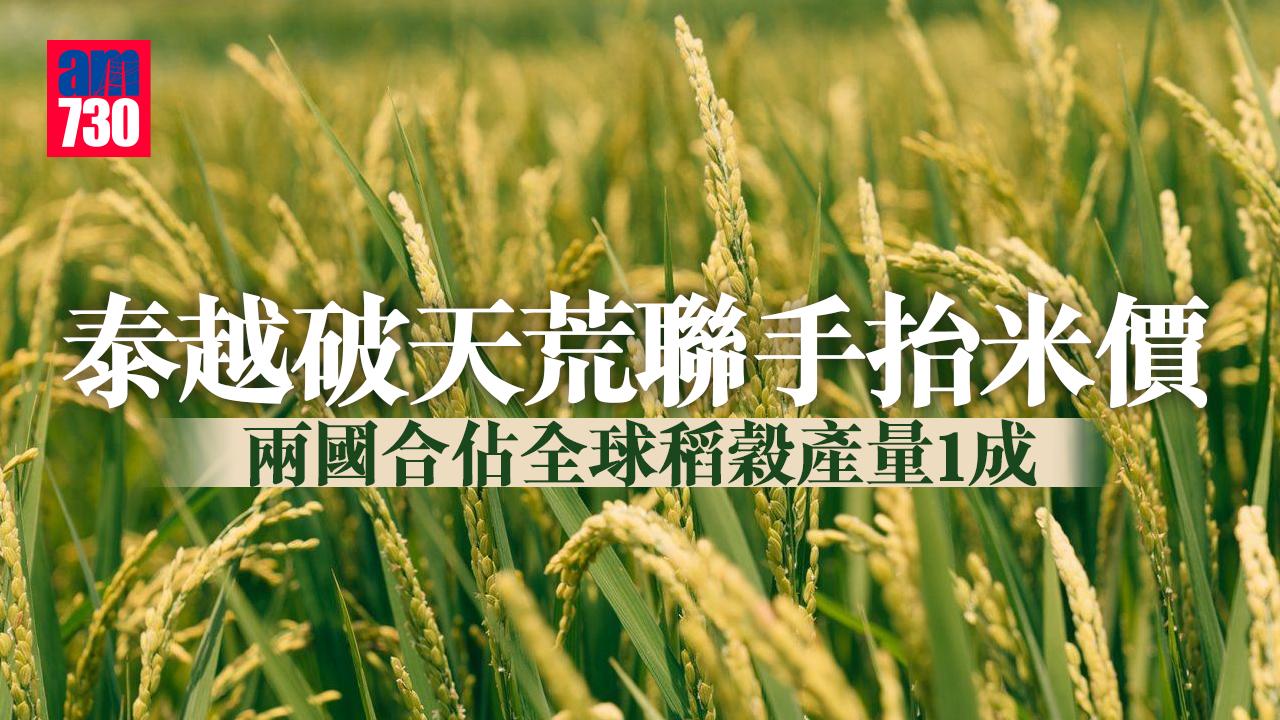 泰越破天荒聯手抬米價 佔全球稻穀產量1成