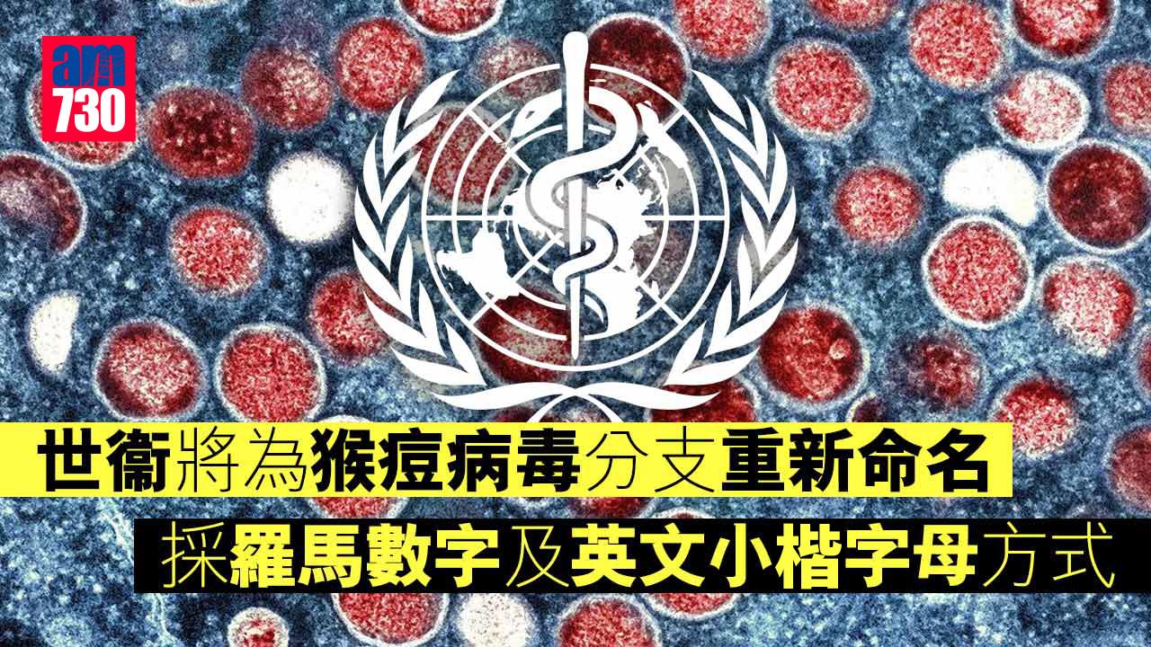 猴痘︱世衞重新命名病毒分支　採羅馬數字及英文小楷字母方式