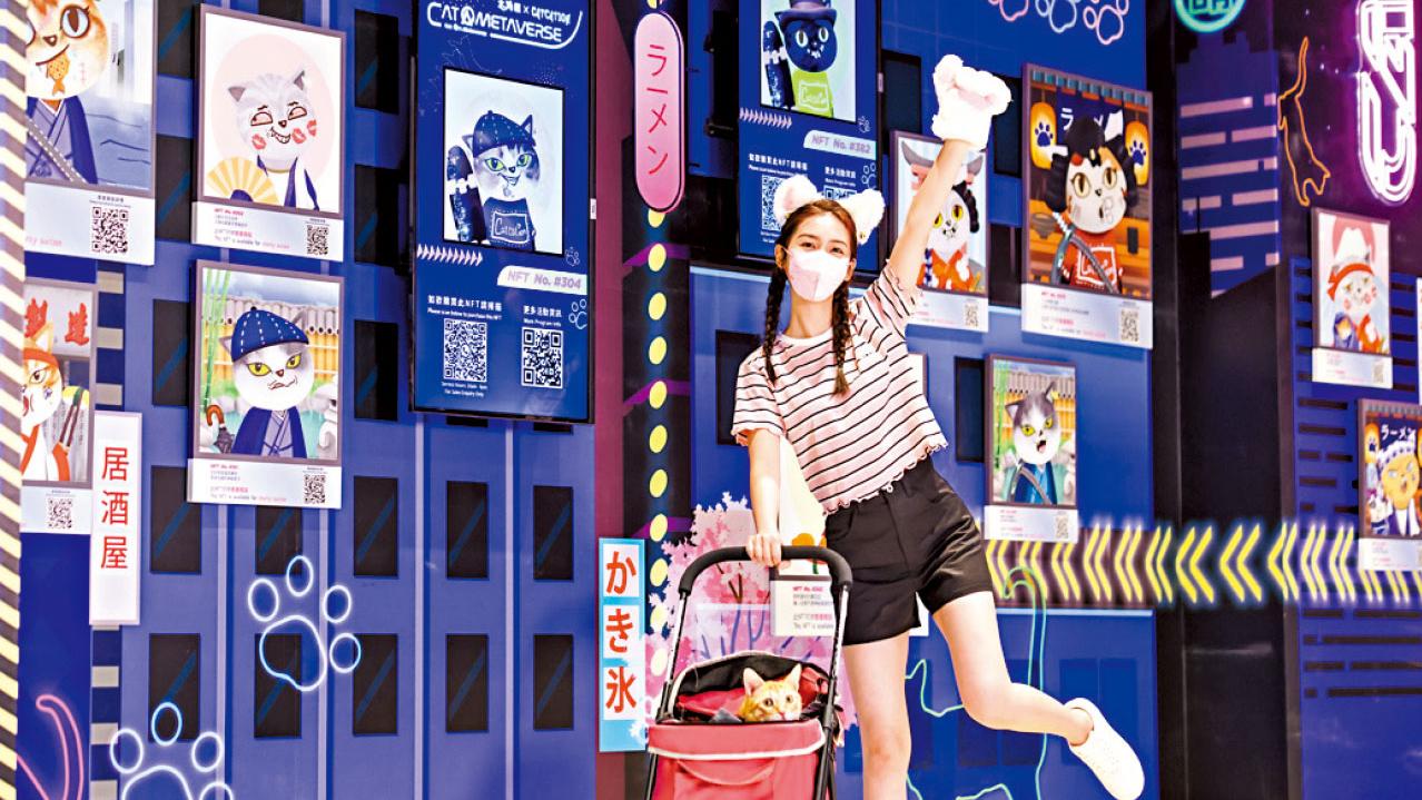 北角匯 x CATCATION《Cat.Art.Metaverse》登場 逾300幅喵畫展 玩遊戲贏獨家NFT