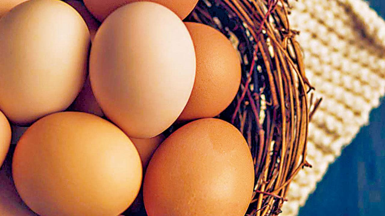 安全雞蛋「快速測試」