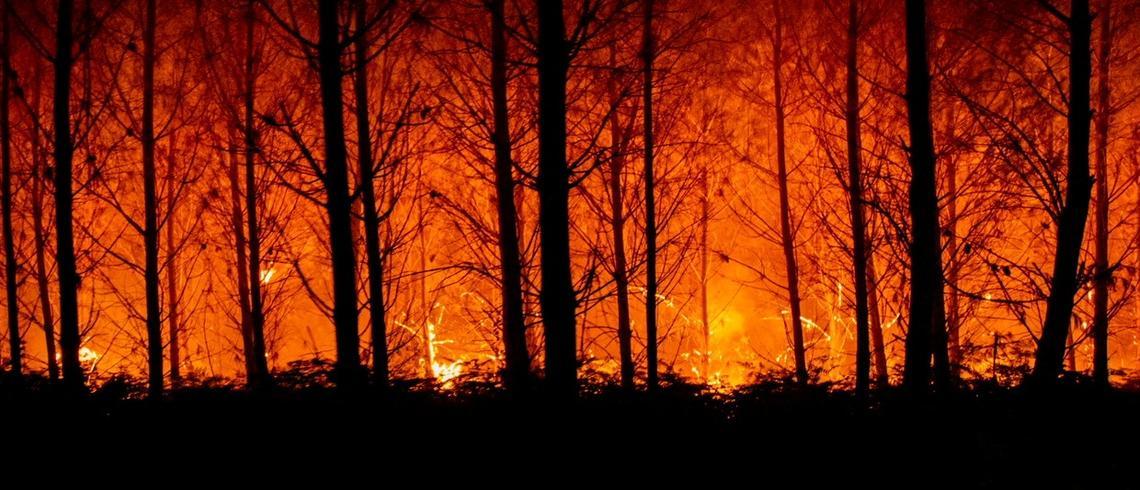 熱浪洪水等自然災害上半年造成損失料達720億美元