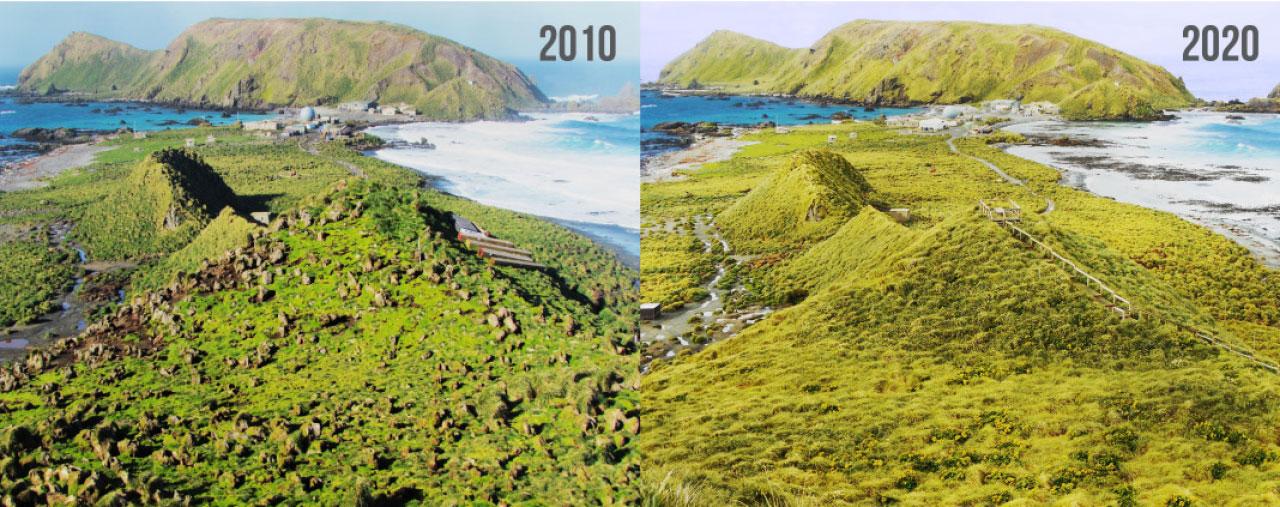 寵物害人不淺？