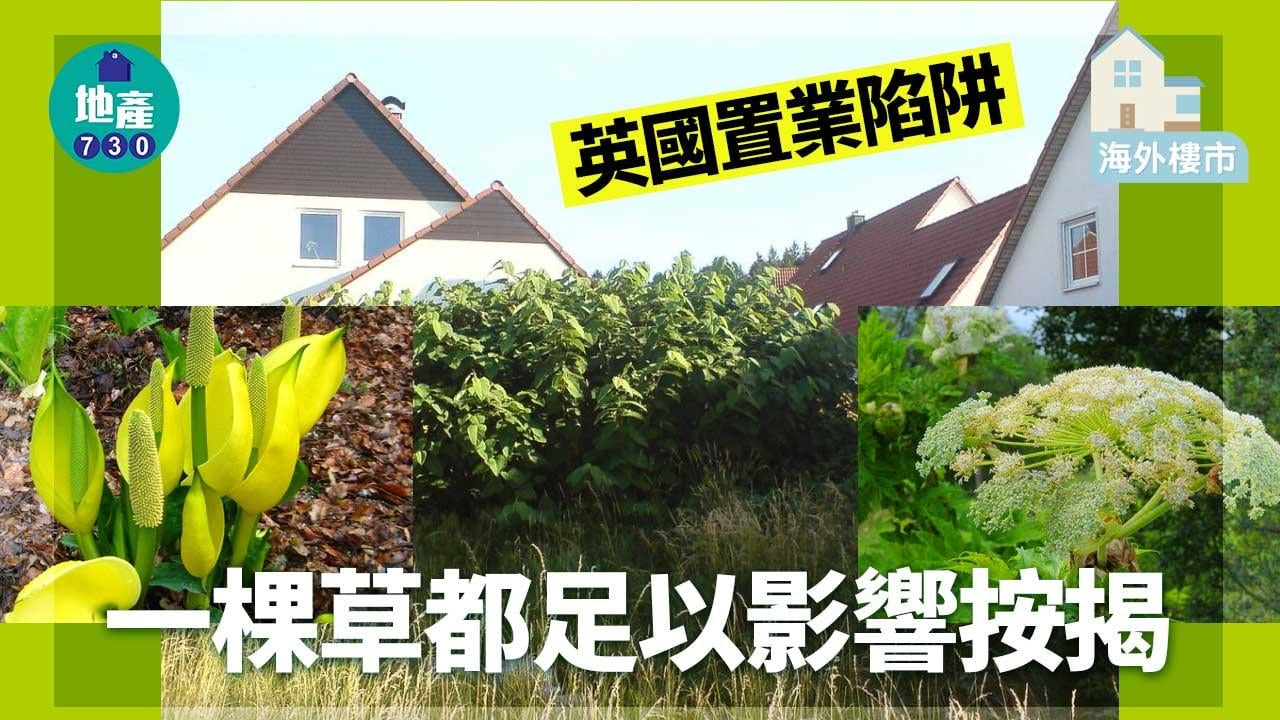海外樓市｜英國置業陷阱！花園一棵草 點樣影響到按揭？