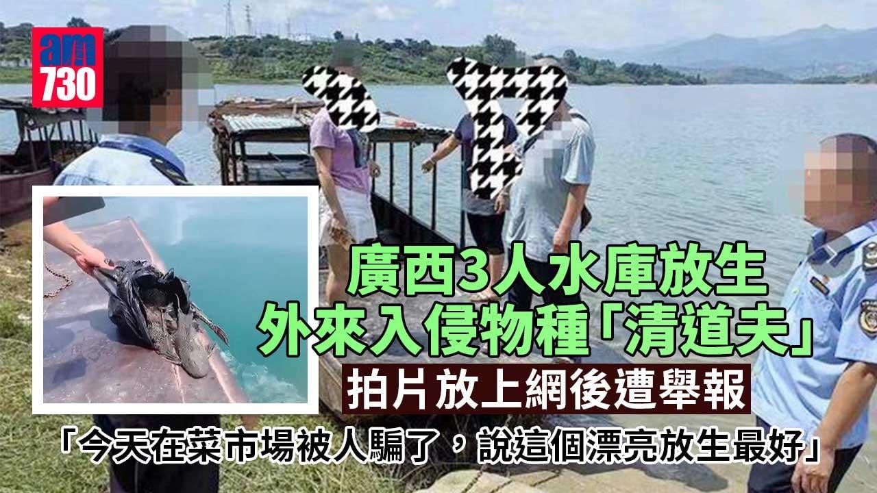 廣西3人水庫放生外來入侵物種「清道夫」-拍片放上網稱「見者都有福氣」