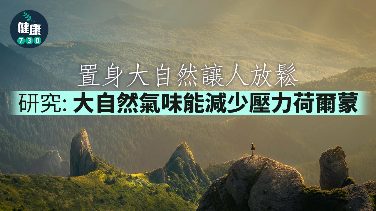 大自然氣味 帶來治愈感