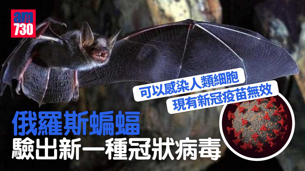 蝙蝠驗出新一種冠狀病毒 可感染人類細胞 現有新冠疫苗無效
