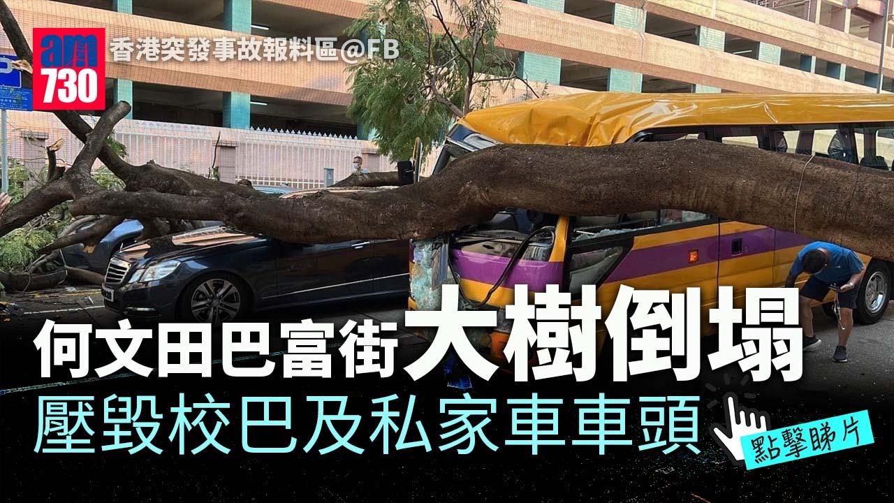 車Cam直擊｜何文田巴富街有大樹倒塌 壓毀4車2人受傷 (有片)