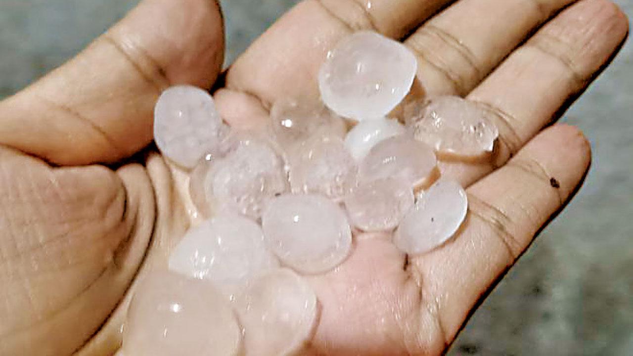 圖片新聞｜落雹