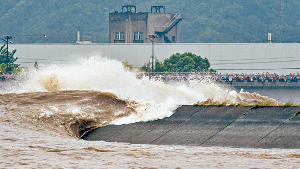 圖片新聞｜觀潮