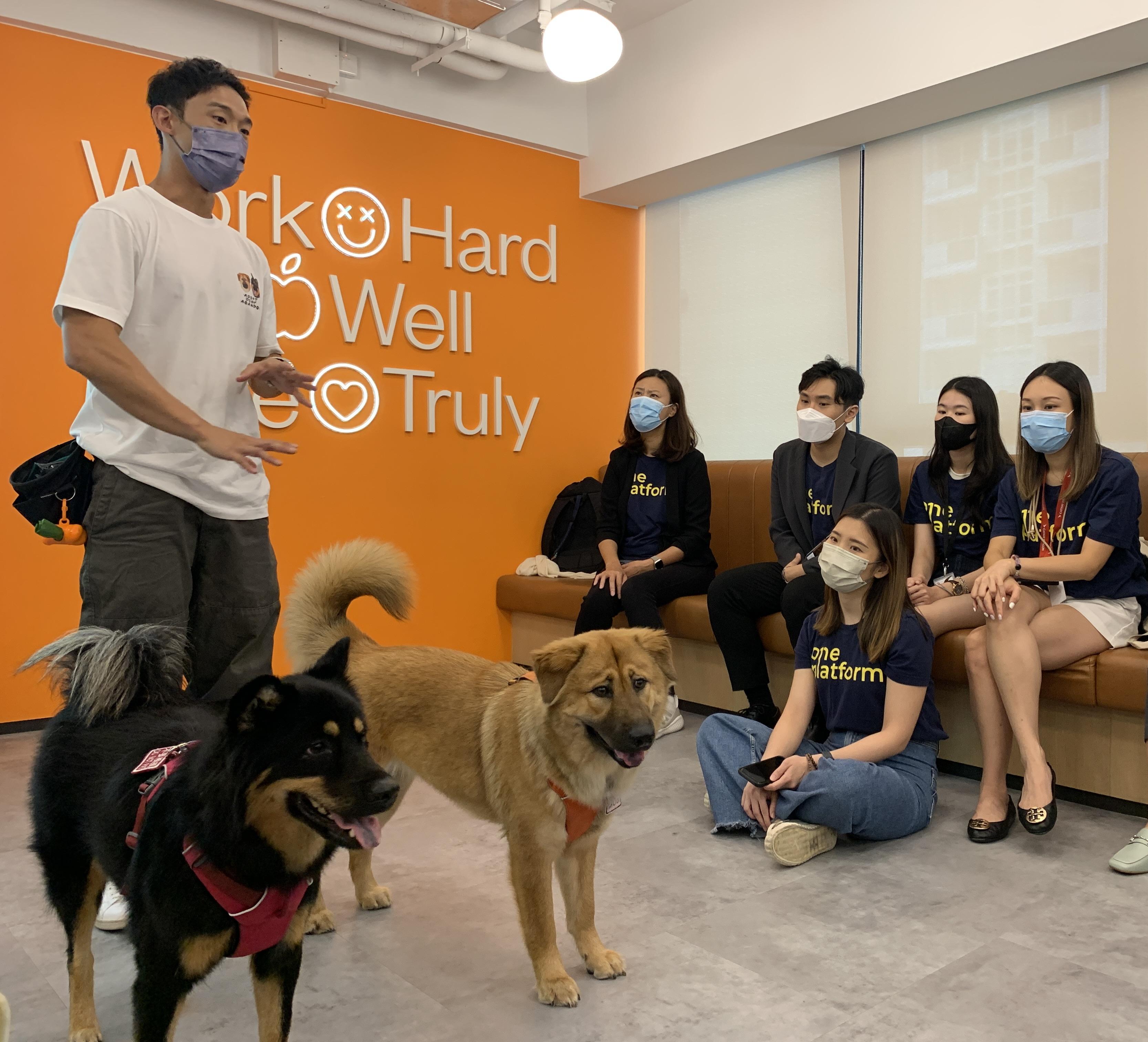環一早前亦在辦公室舉辦「動物領養分享會」，邀請保護動物慈善協會帶同動物，讓員工與動物接觸及了解領養事宜。