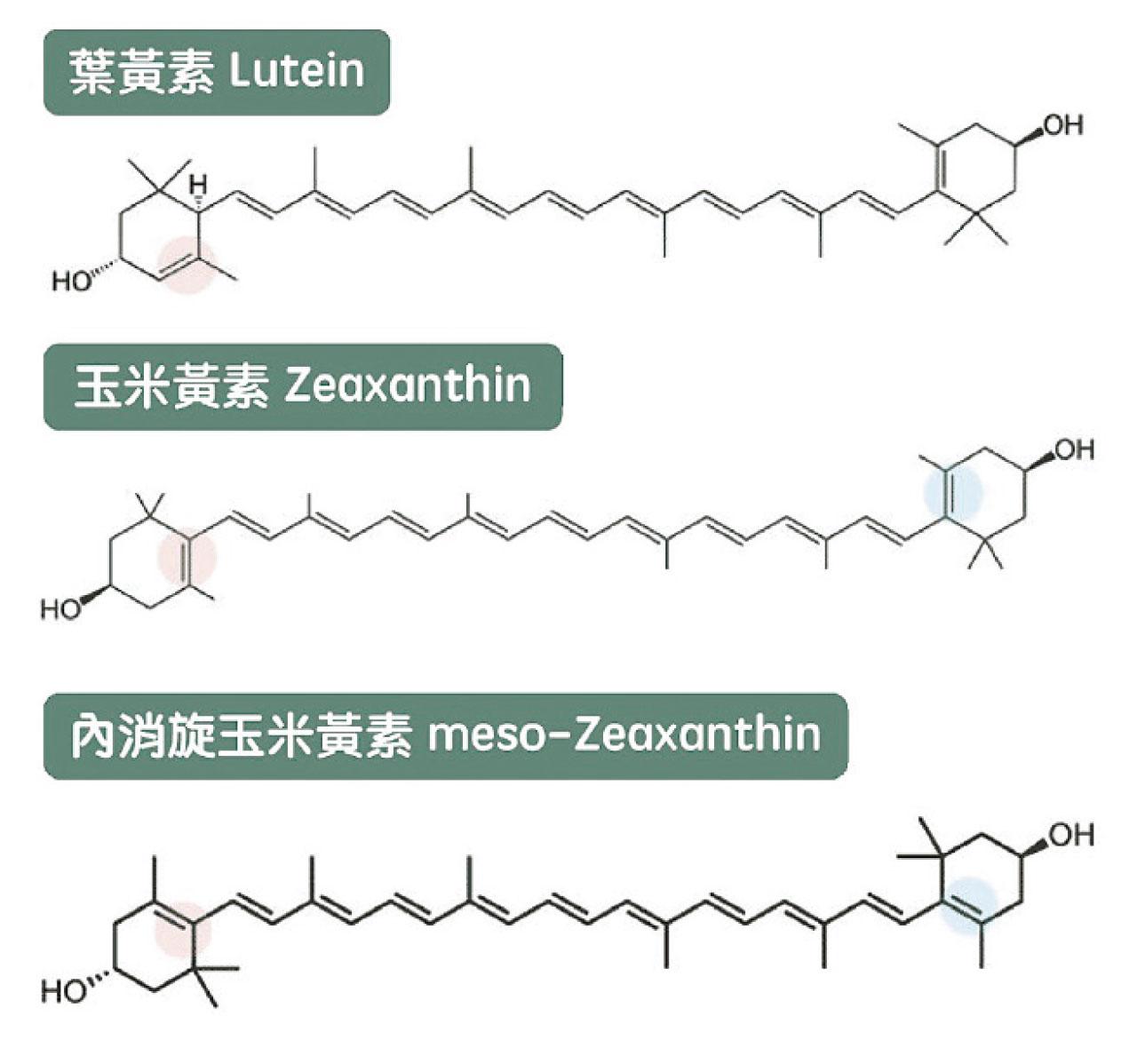 保護黃斑 食葉黃素？