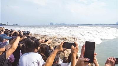受颱風梅花影響，今年錢塘江大潮比往年更壯觀。(互聯網)