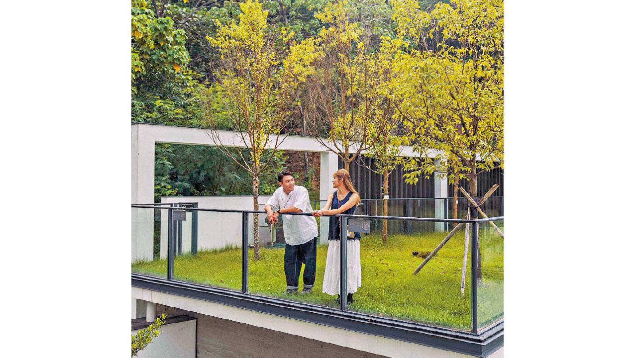 跟着《遊來沙田》文青輕旅行