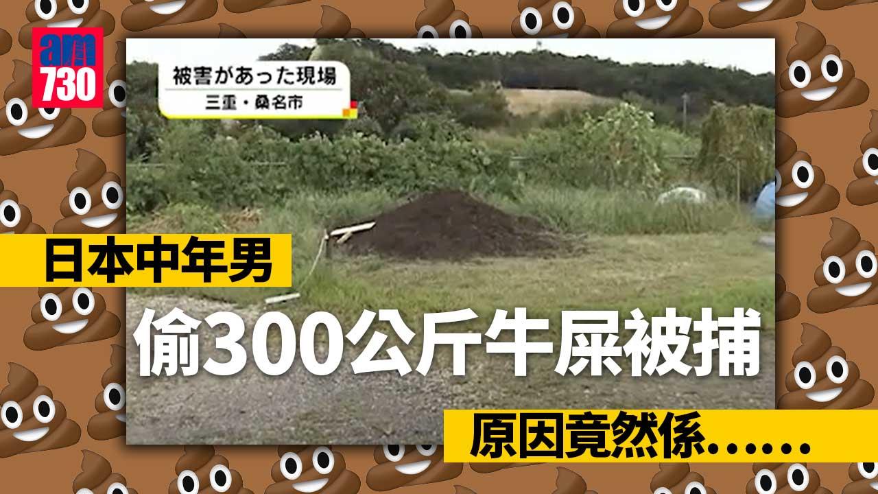 日清潔工偷牛屎被捕　疑自上月起累積盜2噸