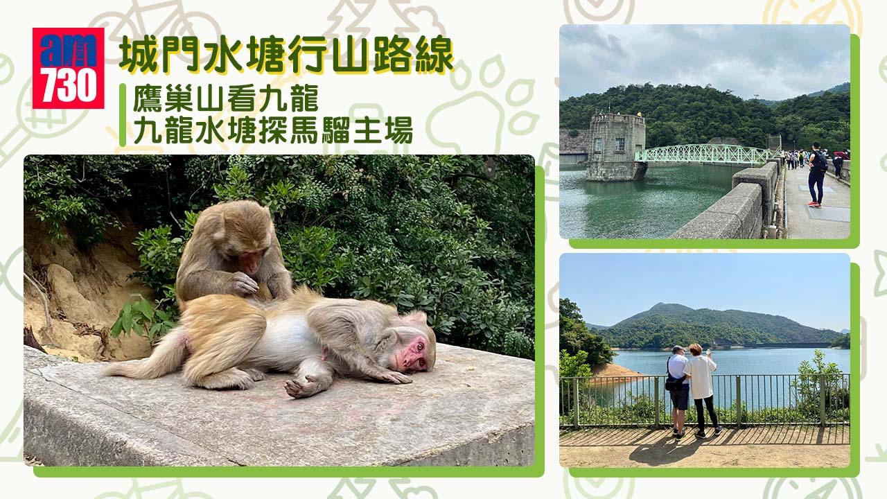 城門水塘行山路線