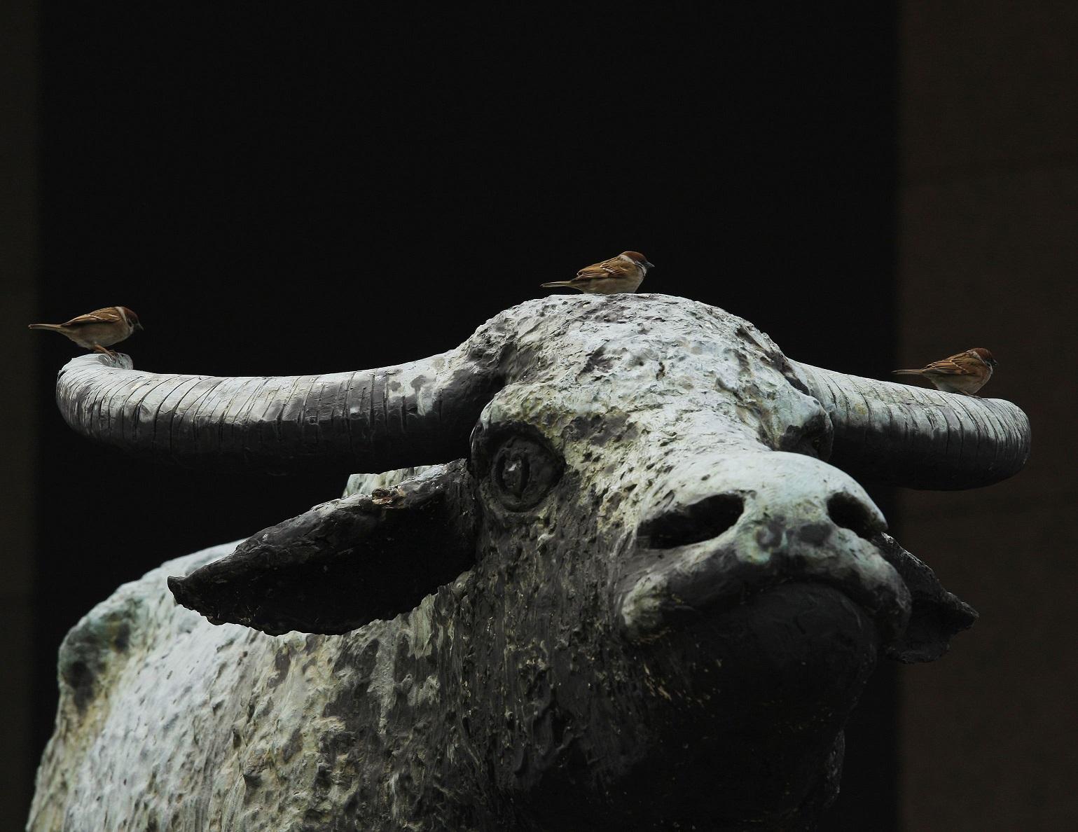 資金轉倉作防守性部署