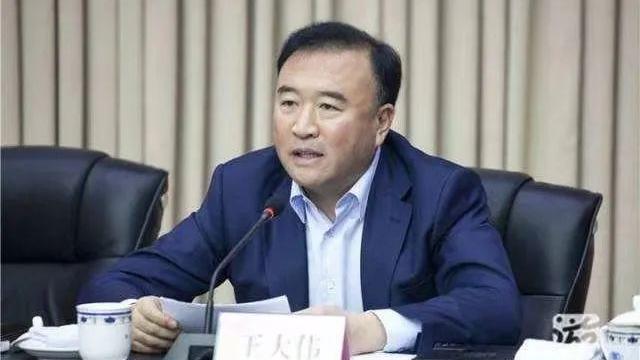 遼寧前副省長王大偉被中紀委查出「為掩蓋裸官問題假結婚」等問題。(互聯網)