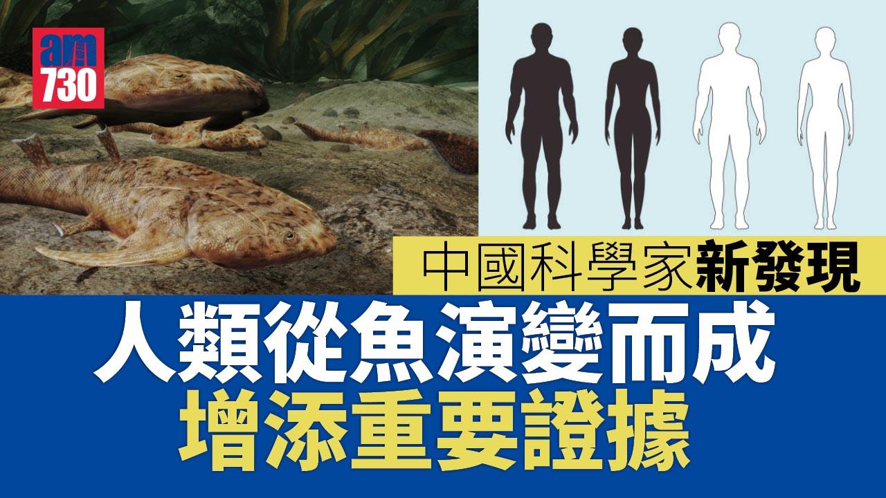 中國科學家新發現 為「人類從魚演化」添重要證據