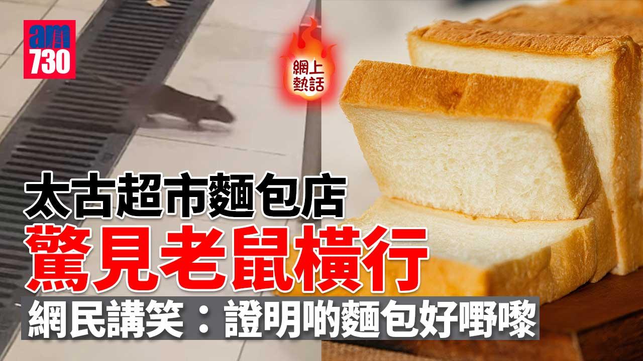 網上熱話｜太古超市麵包店營業期間驚見老鼠橫行　網民：咁猖狂！