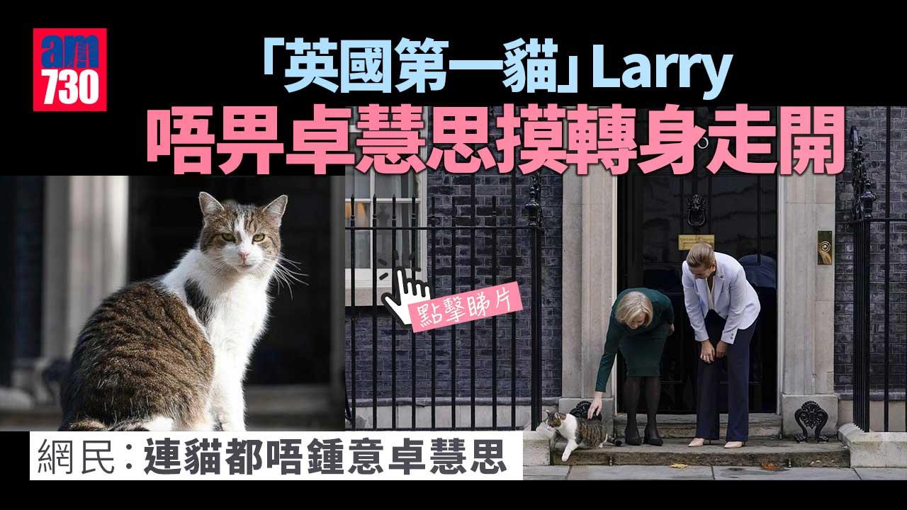 首相都無面畀！「英國第一貓」唔畀卓慧思摸 (有片)