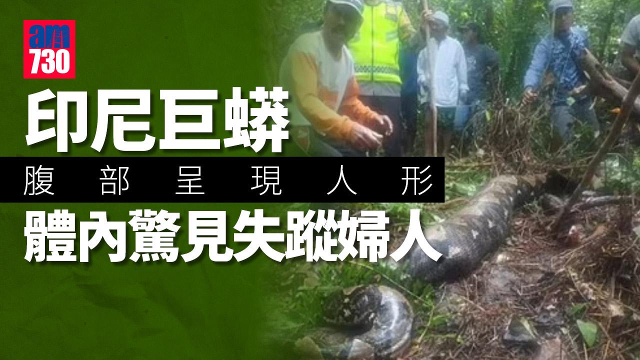 有圖慎入｜54歲婦離奇失蹤 搜索人員驚見22呎長巨蟒腹部脹如人形