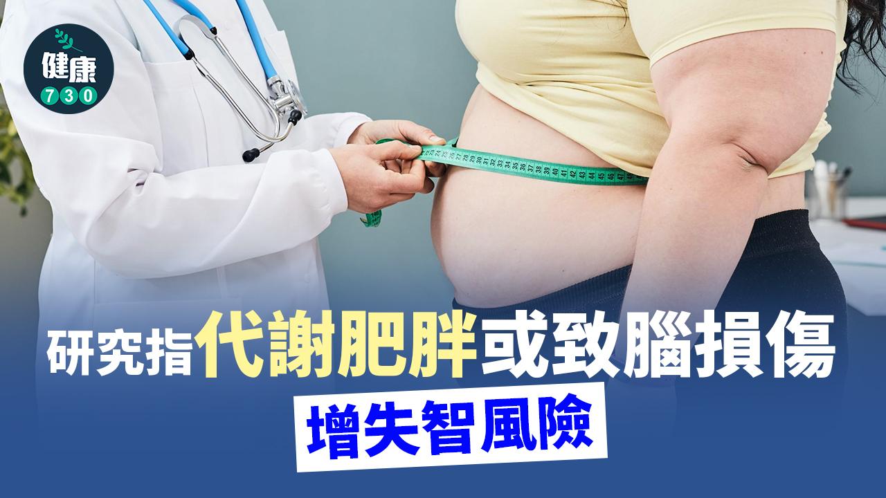 研究指代謝肥胖或致腦損傷 增失智風險