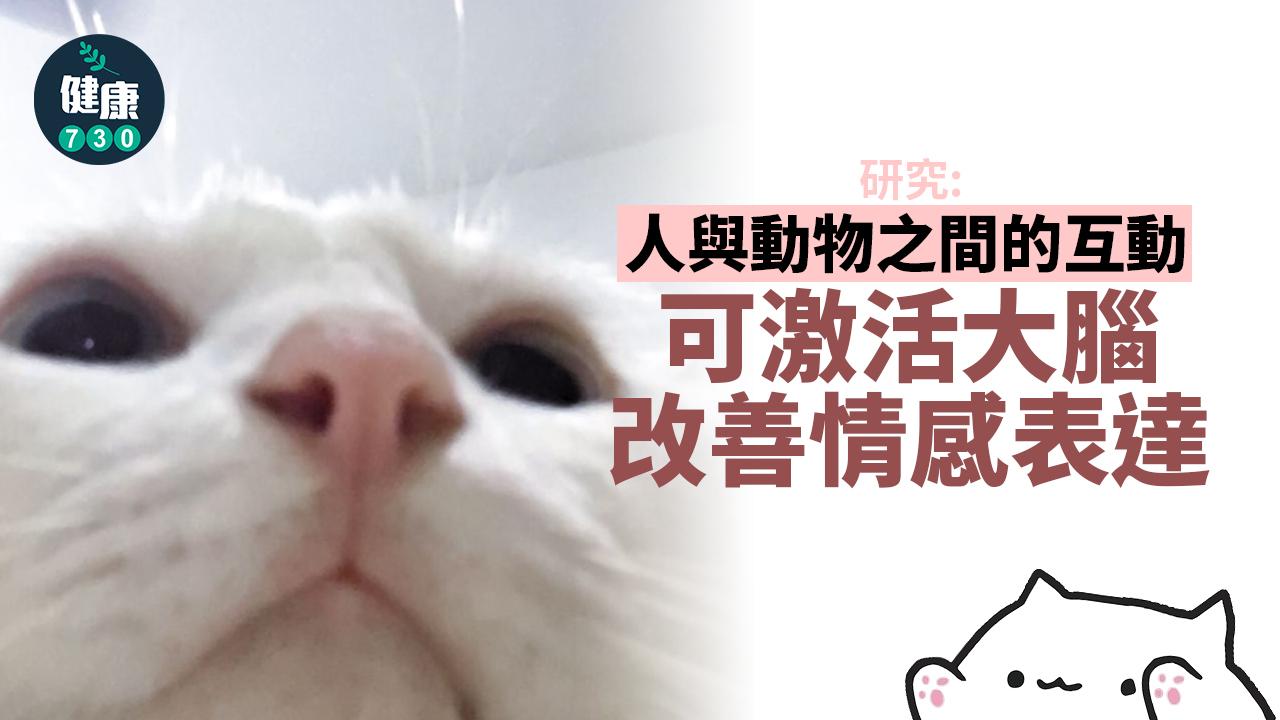 觸摸毛孩 可激活大腦改善情感表達