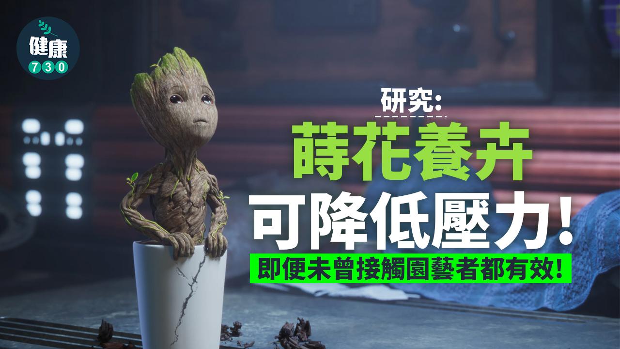 減壓｜讓植物療愈心靈！研究：養花蒔草有益心理健康