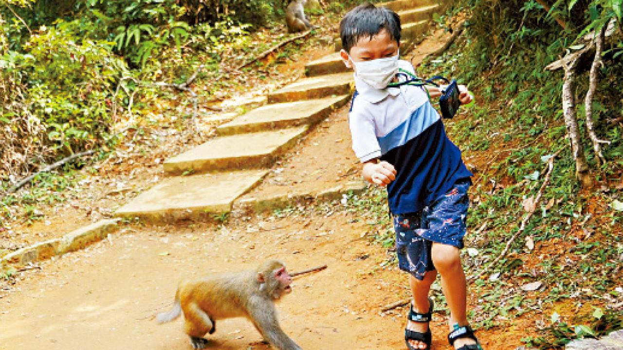 1884年以來最熱重陽 天文台昨錄得33.5度