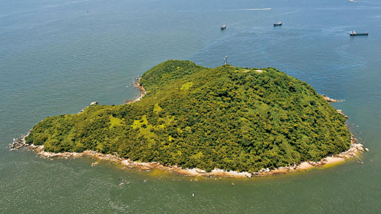 智庫促詳細規劃工程容量 環團憂填海影響生態