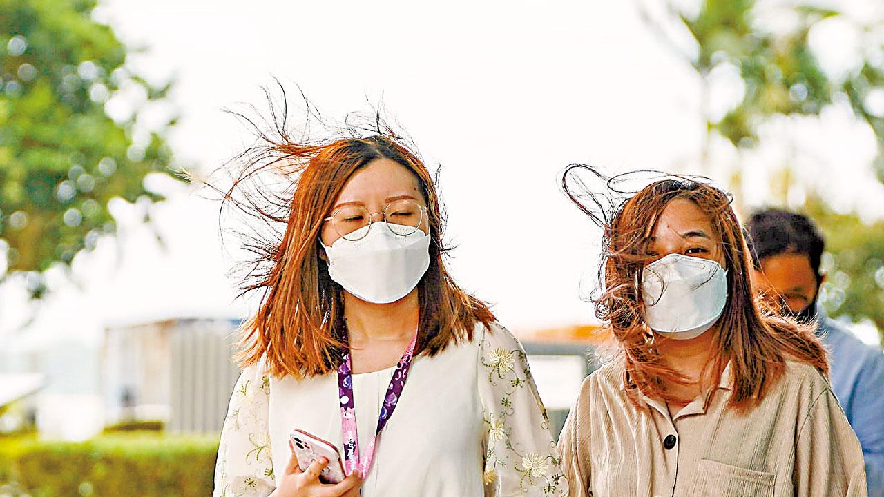 納沙逼近 天文台掛3號波 7船員怒海逃生 招牌擊中男途人