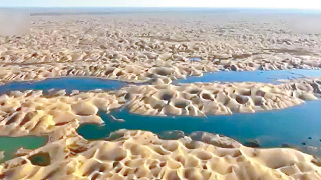 圖片新聞｜罕見