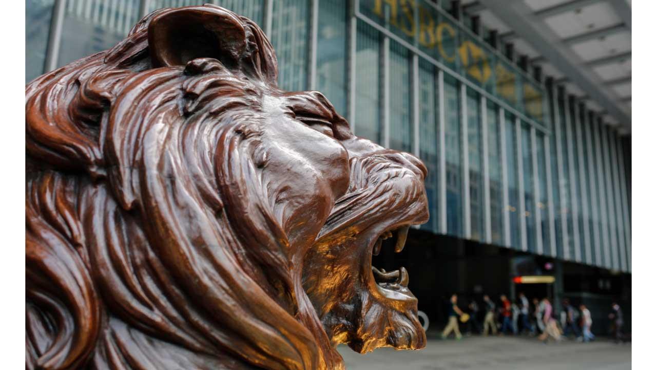 大笨象逃出金絲雀籠(下)