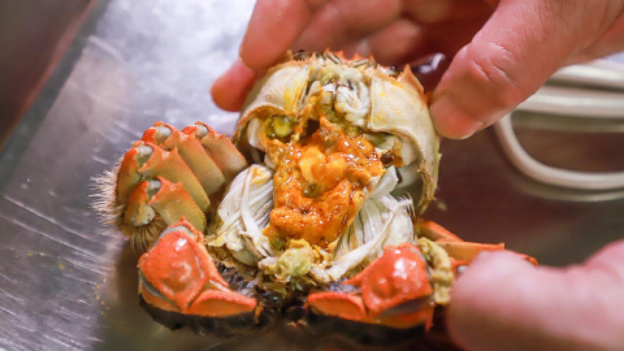 一期一會大閘蟹 減肥也可淺嘗