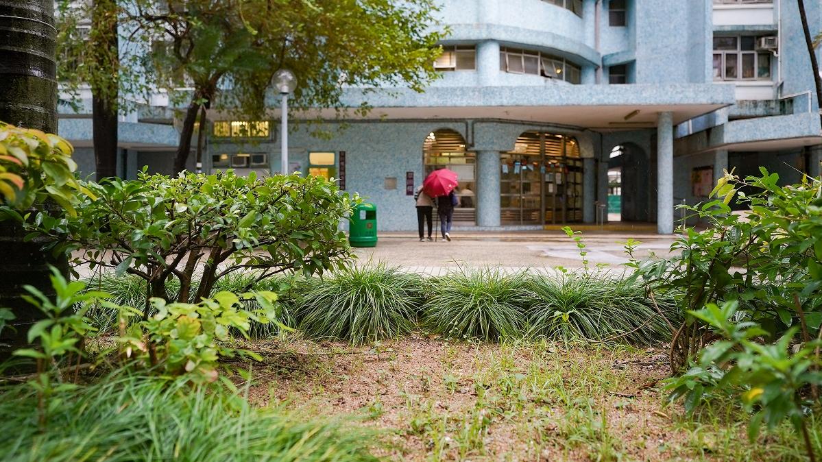 衞生署表示，至今仍未成功從泥土等環境樣本培植細菌。(資料圖片／李睿哲攝)