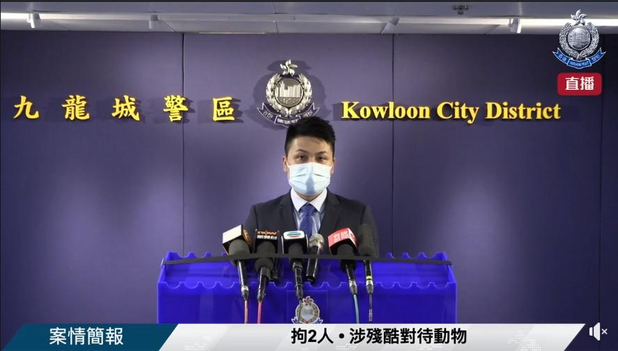 4歲邊境牧羊犬遭棄養被揭周身傷 夫婦涉虐待動物被捕