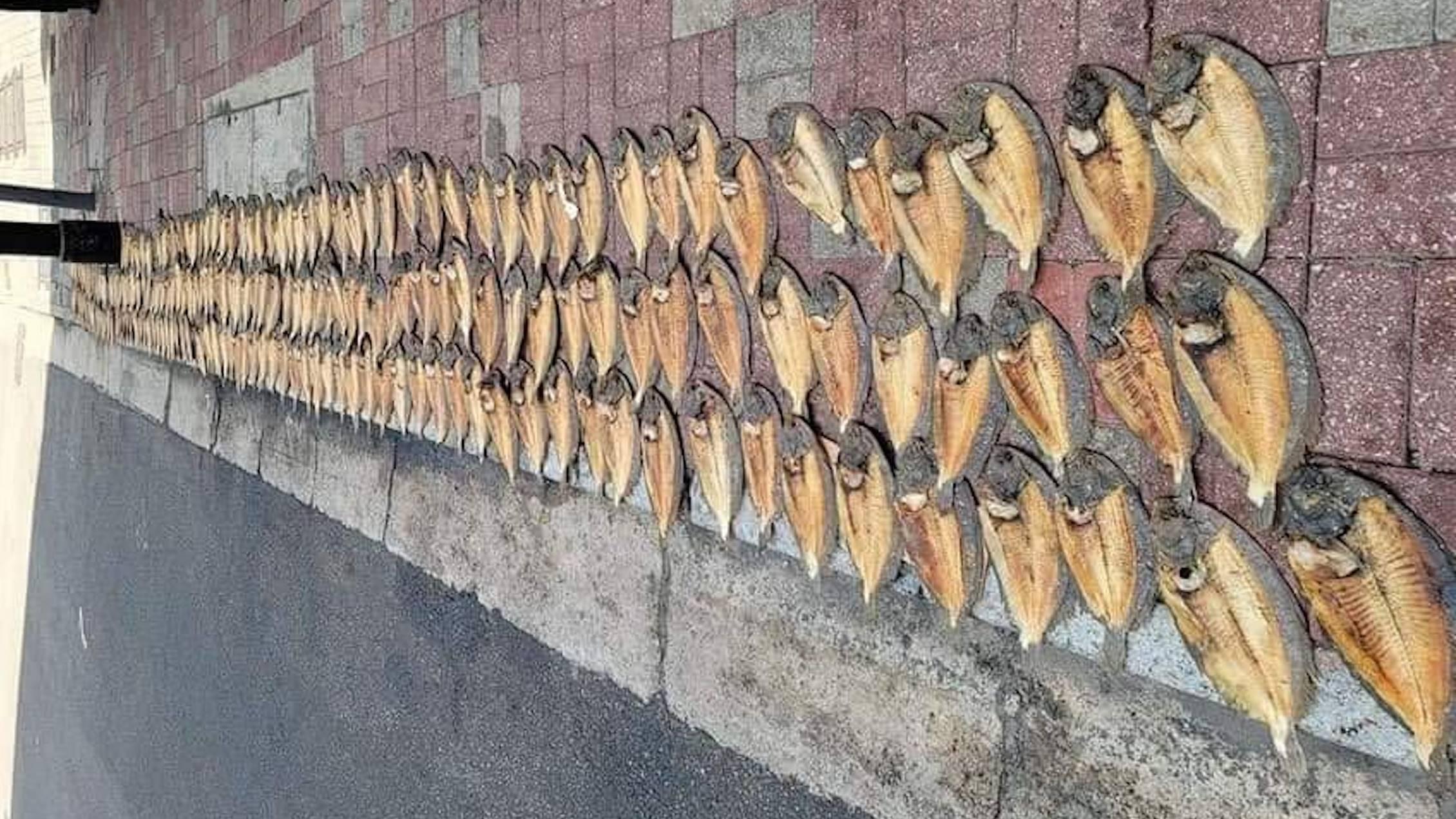 網上熱話｜中環羅富記粥麵店馬路邊曬魚乾　網民：真正「大地魚」