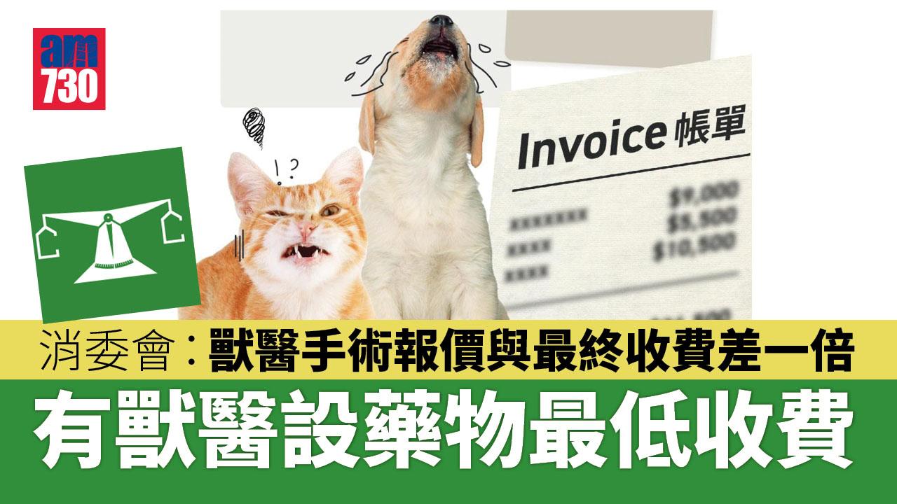 消委會｜獸醫藥物手術報價可差近一倍　收費欠透明
