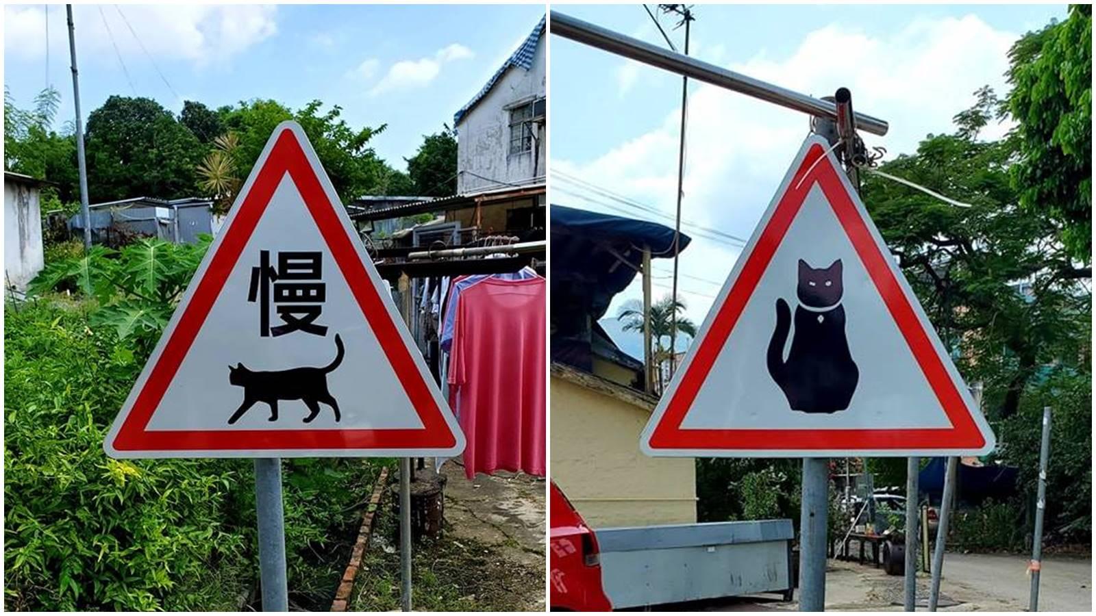 網上熱話｜上水現自製「貓路牌」提醒司機減意外　網民：好暖心