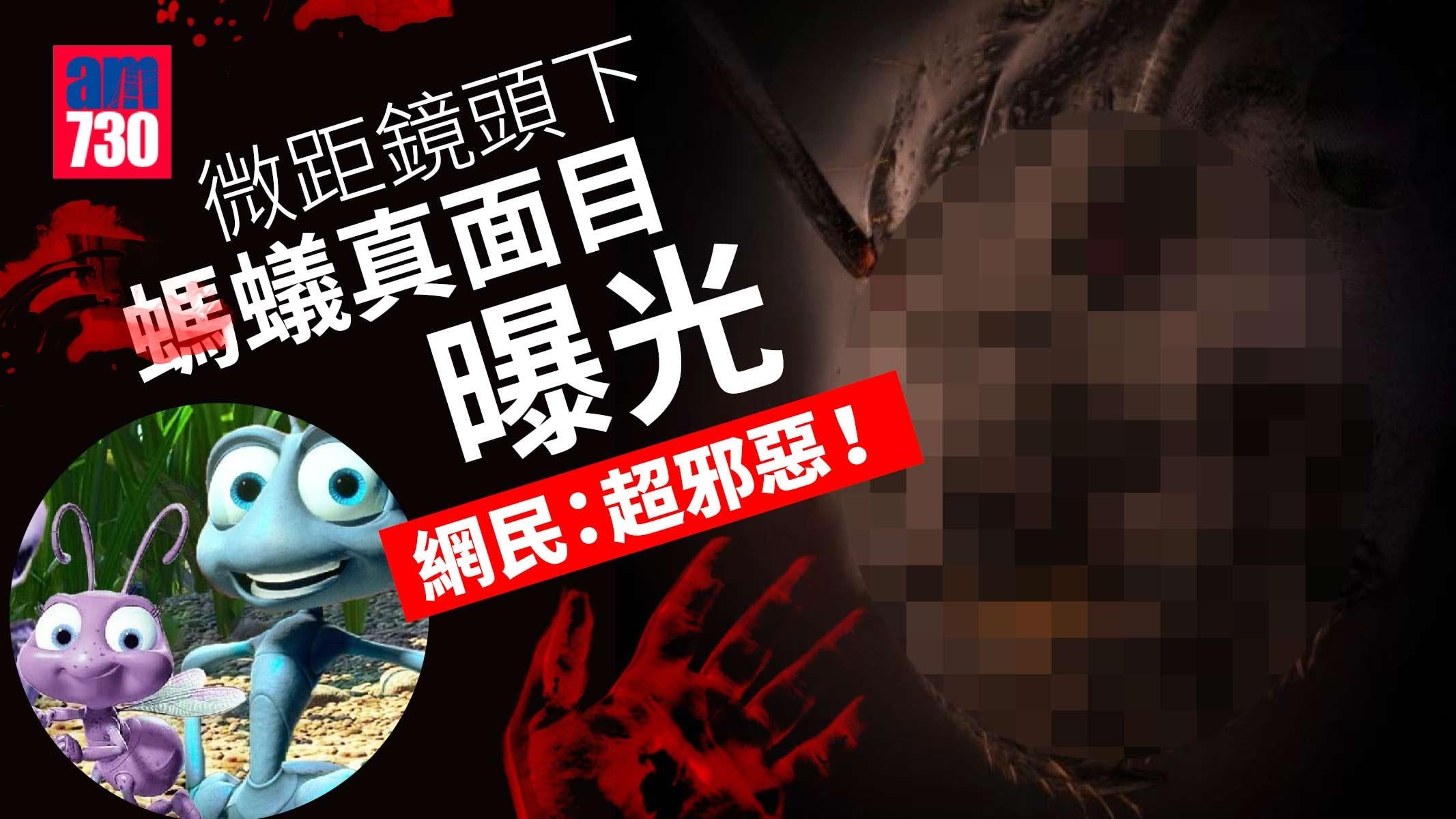 螞蟻真面目微距鏡頭下曝光 網民：像半人獸超邪惡