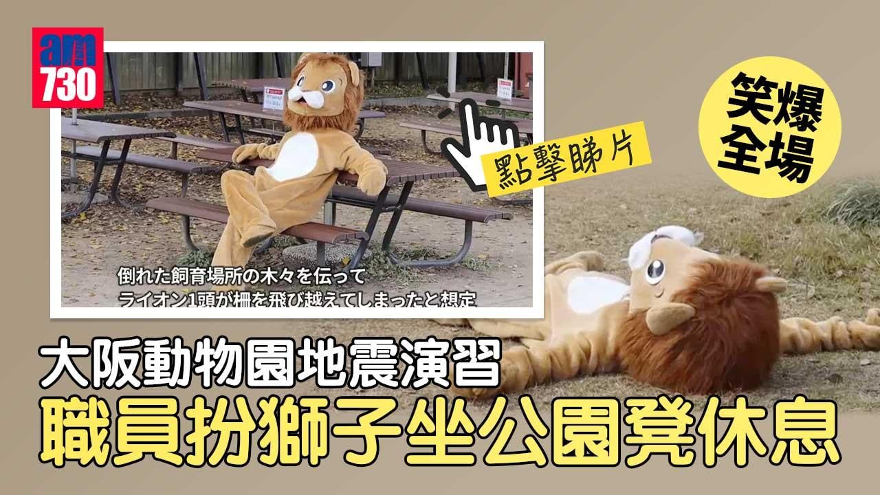 大阪動物園地震演習　超萌獅子逃走施襲坐凳休息爆笑全場
