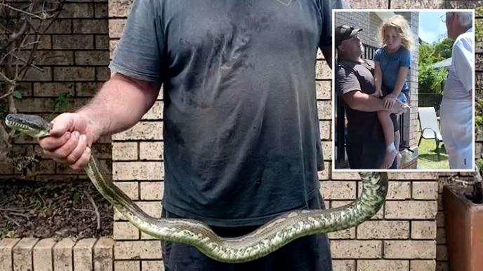 5歲男童被蟒蛇拖進泳池，幸獲父親和祖父合力救回。(互聯網)