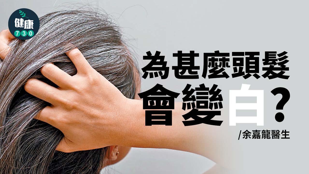 為甚麼頭髮會變白？