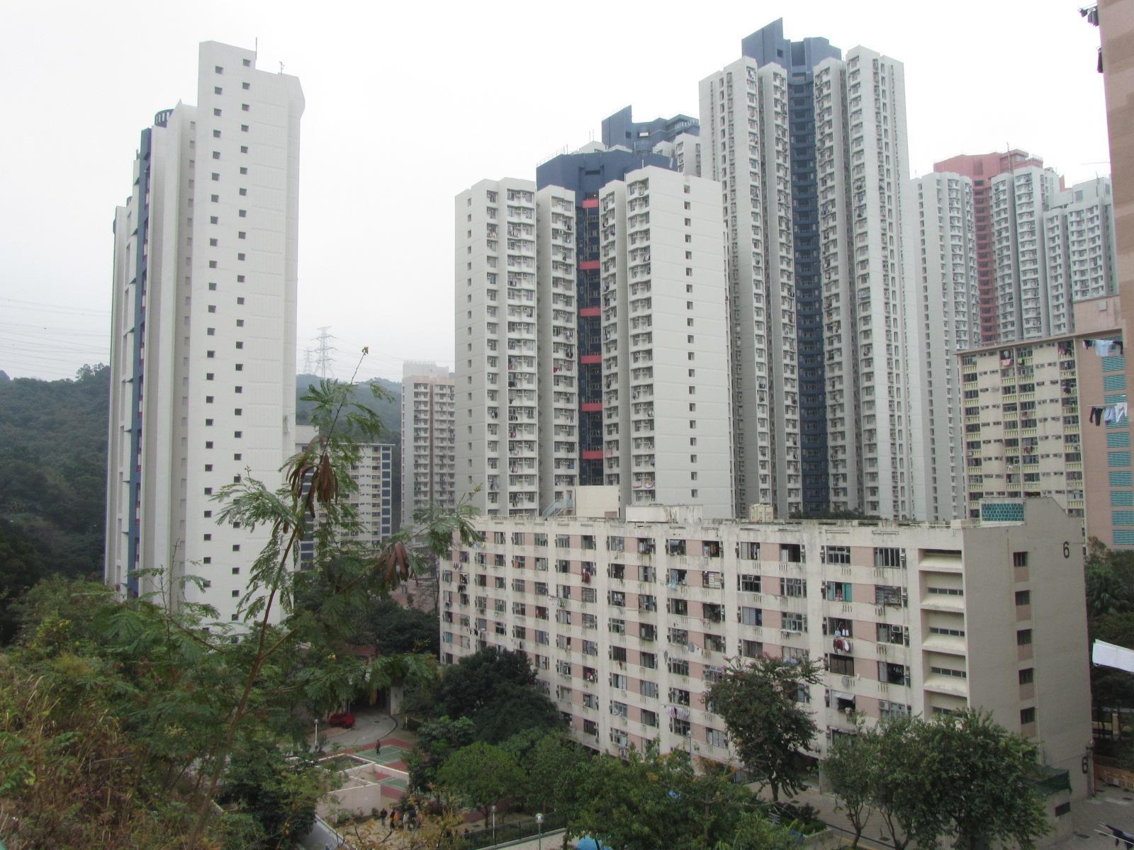 梨木樹邨。(網上圖片)